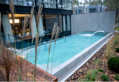 Individuelles Projekt einer Sauna, eines Außenpools, einer Aufgussvorrichtung und eines Whirlpools