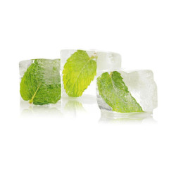 HARVIA Saunaduftkonzentrat Eisminze 100 ml 