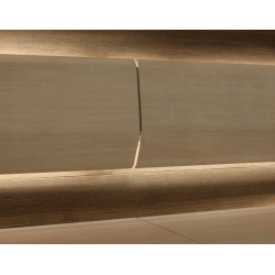 TAIVE Rückeneinheit 