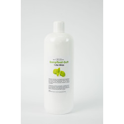 ELIGA Türkische Badedüfte MINT, 1l 