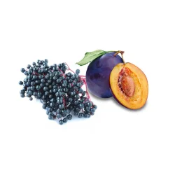 HARVIA Saunaduftkonzentrat Holunder und Pflaume 100 ml 