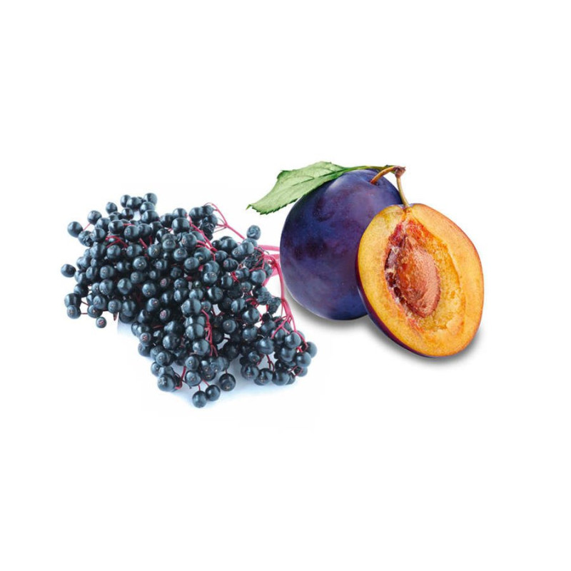 HARVIA Saunaduftkonzentrat Holunder und Pflaume 100 ml