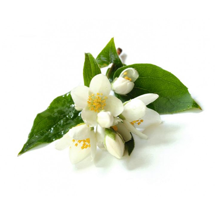 Sentiotec Sauna-Duftkonzentrat, Jasminblüte