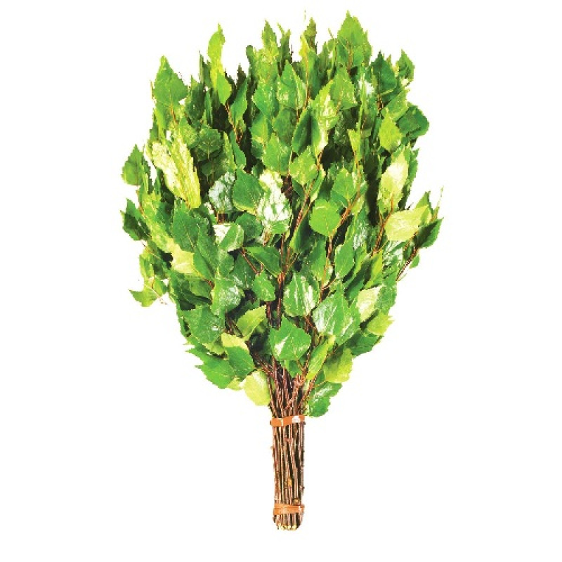 Birkenbesen mit Kräutern