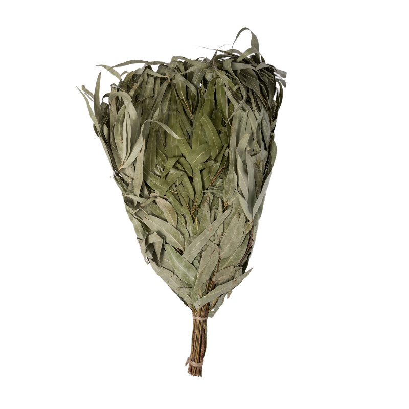 Eukalyptus-Saunabesen