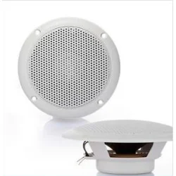 Deckenlautsprecher FR, 10 cm 