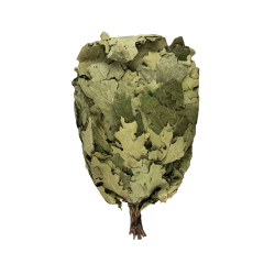Kanadischer Eichenbesen 