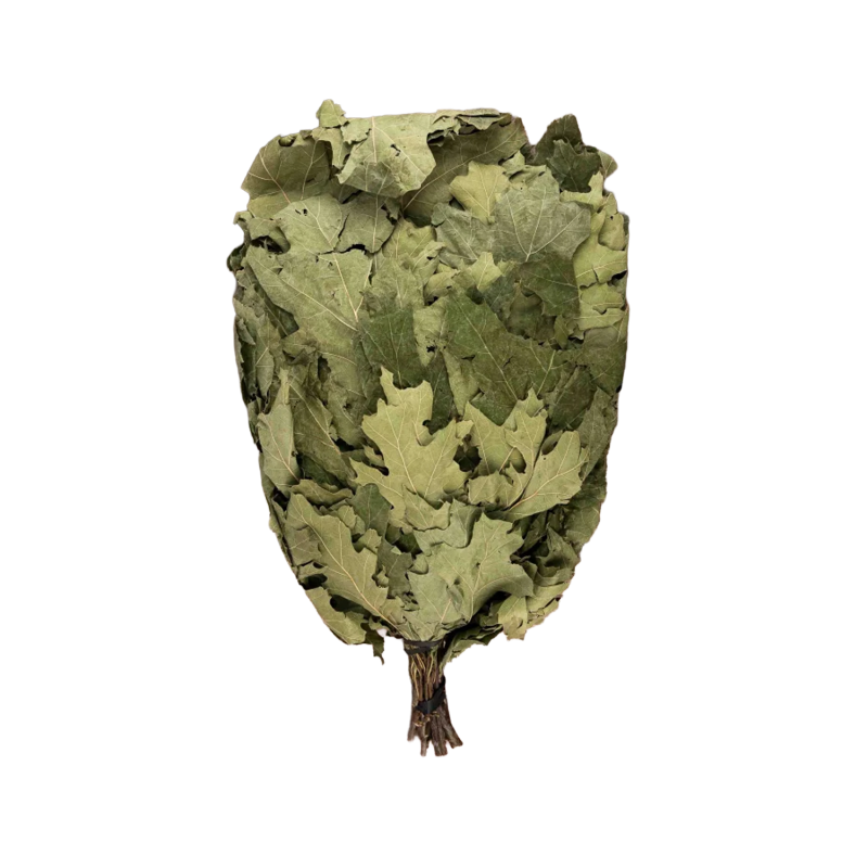 Kanadischer Eichenbesen