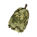 Kanadischer Eichenbesen - 0