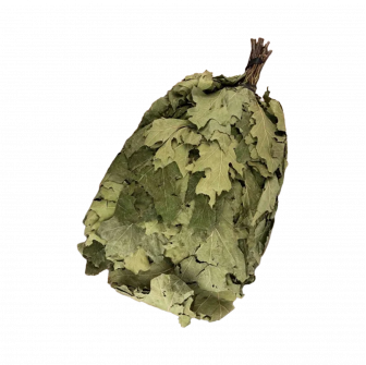 Kanadischer Eichenbesen