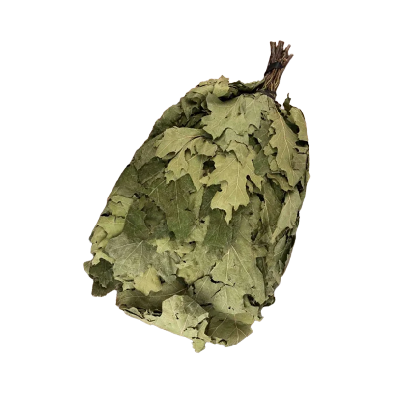 Kanadischer Eichenbesen