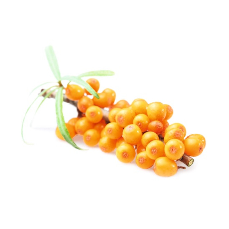 HARVIA Saunaduftkonzentrat Sanddorn 1 l