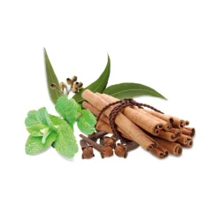 HARVIA Saunaduftkonzentrat Gewürz und Minze 1 l 