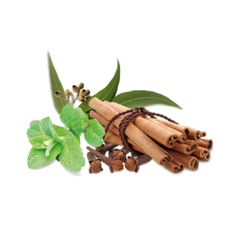 HARVIA Saunaduftkonzentrat Gewürz und Minze 1 l