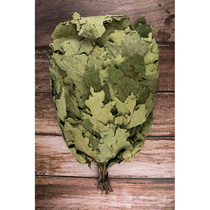 Kanadischer Eichenbesen