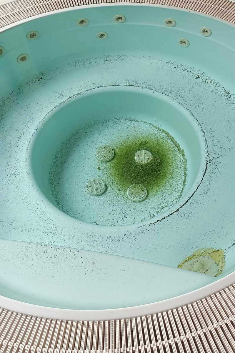 Durch Vernachlässigung verursachter Poolschmutz, der schwer zu entfernen, aber möglich ist