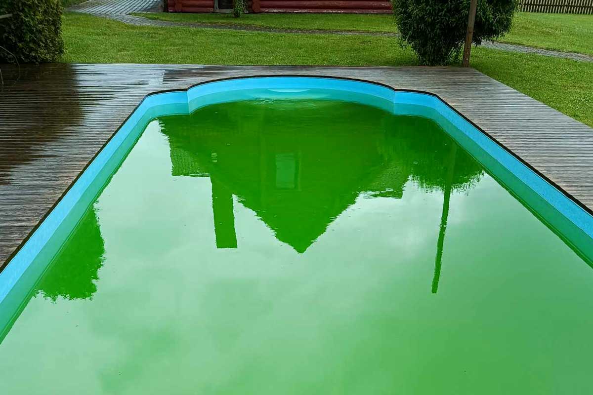 Freibad mit leuchtend grünem, überwuchertem Wasser, dessen Oberfläche ungepflegt und überwuchert wirkt.