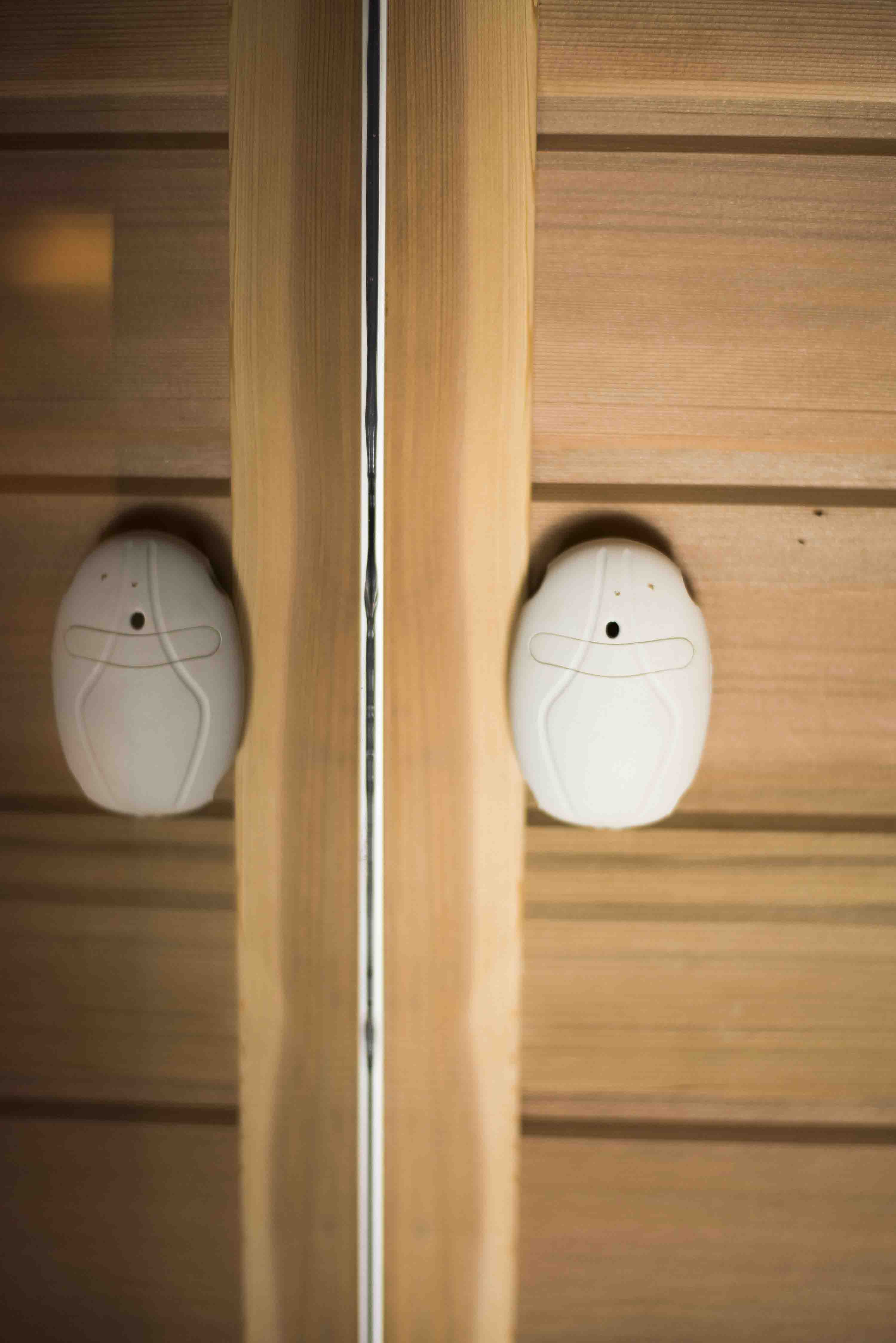 Infrarotsauna mit Himalaya-Salzwand