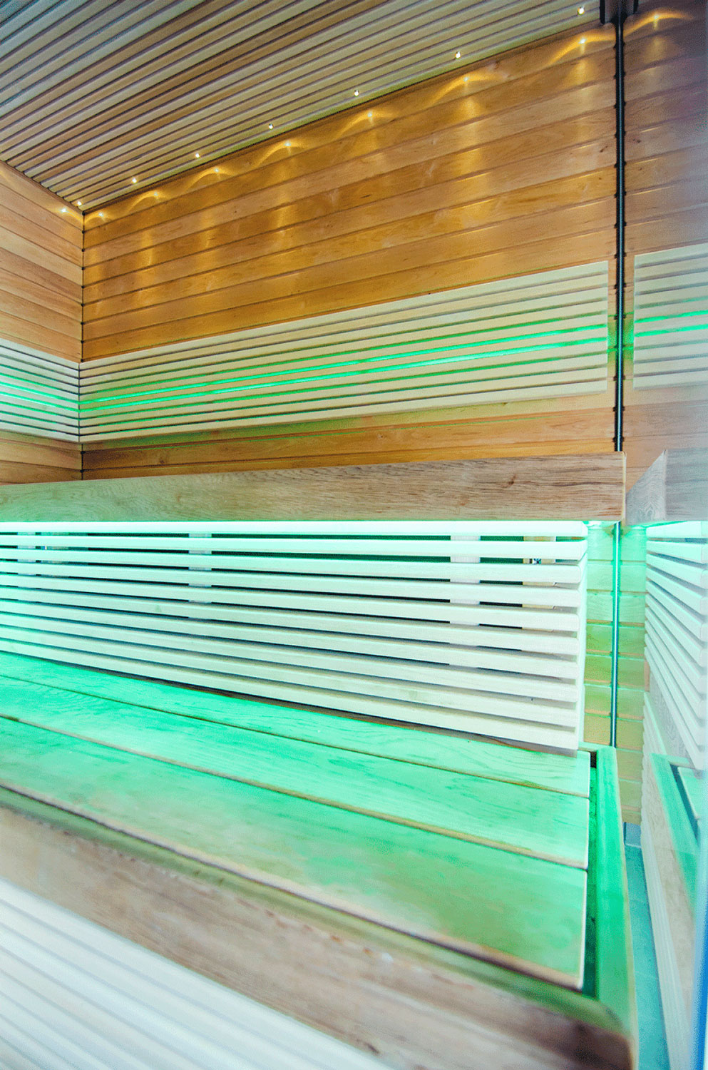 Sauna mit Dampffunktion