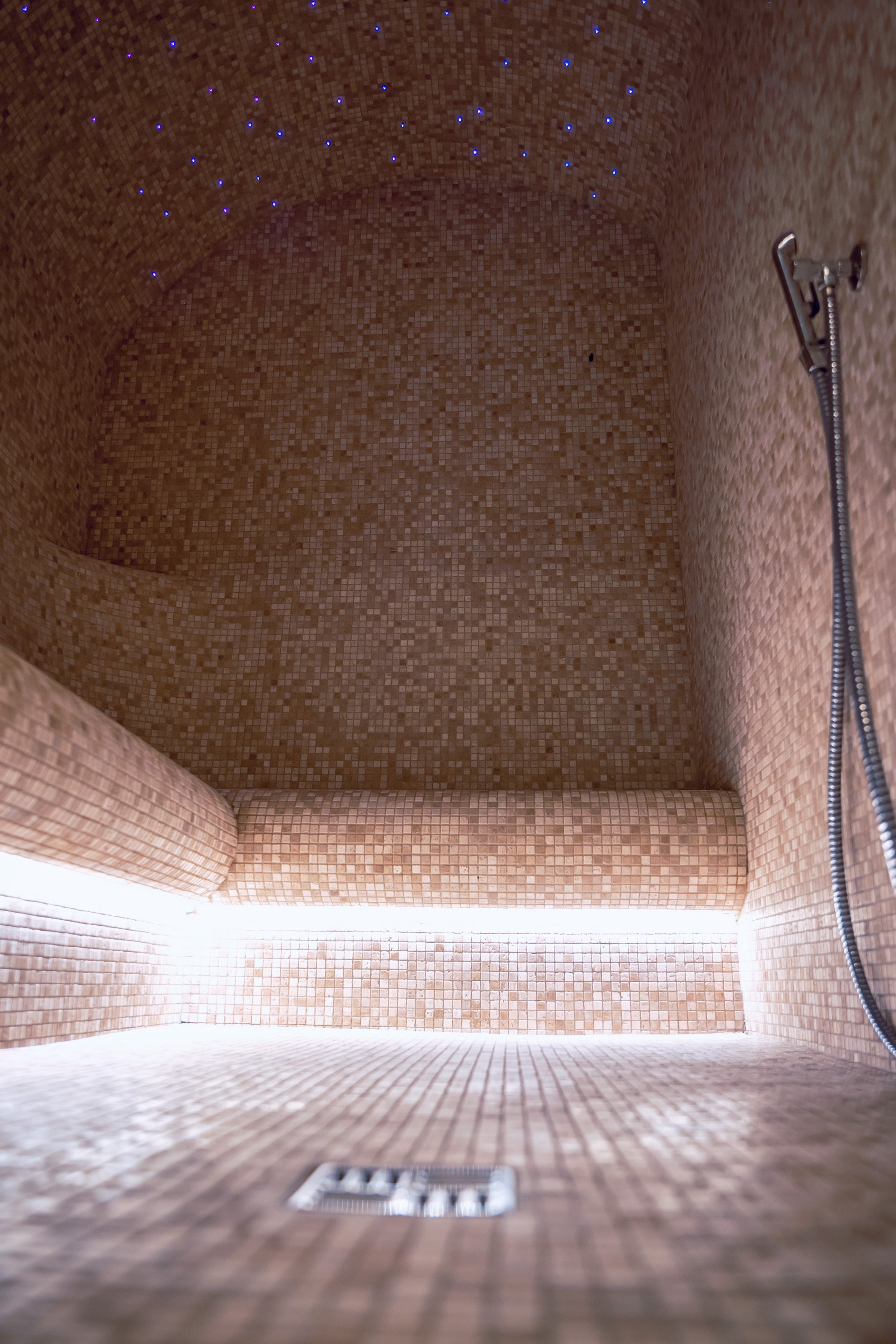 SPA-Zentrum im Hotel PALANGOS VĖTRA
