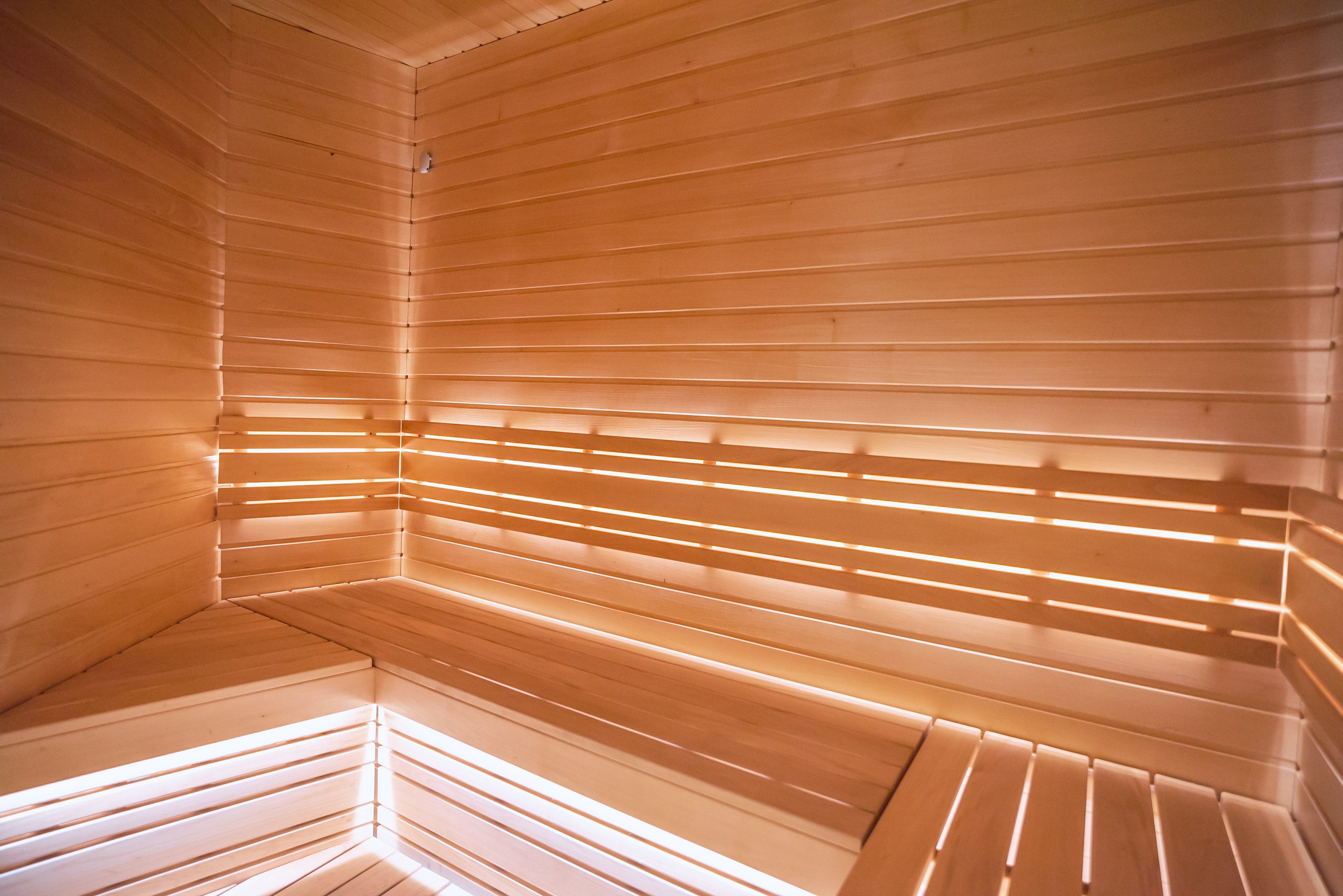 SPA-Zentrum im Hotel PALANGOS VĖTRA