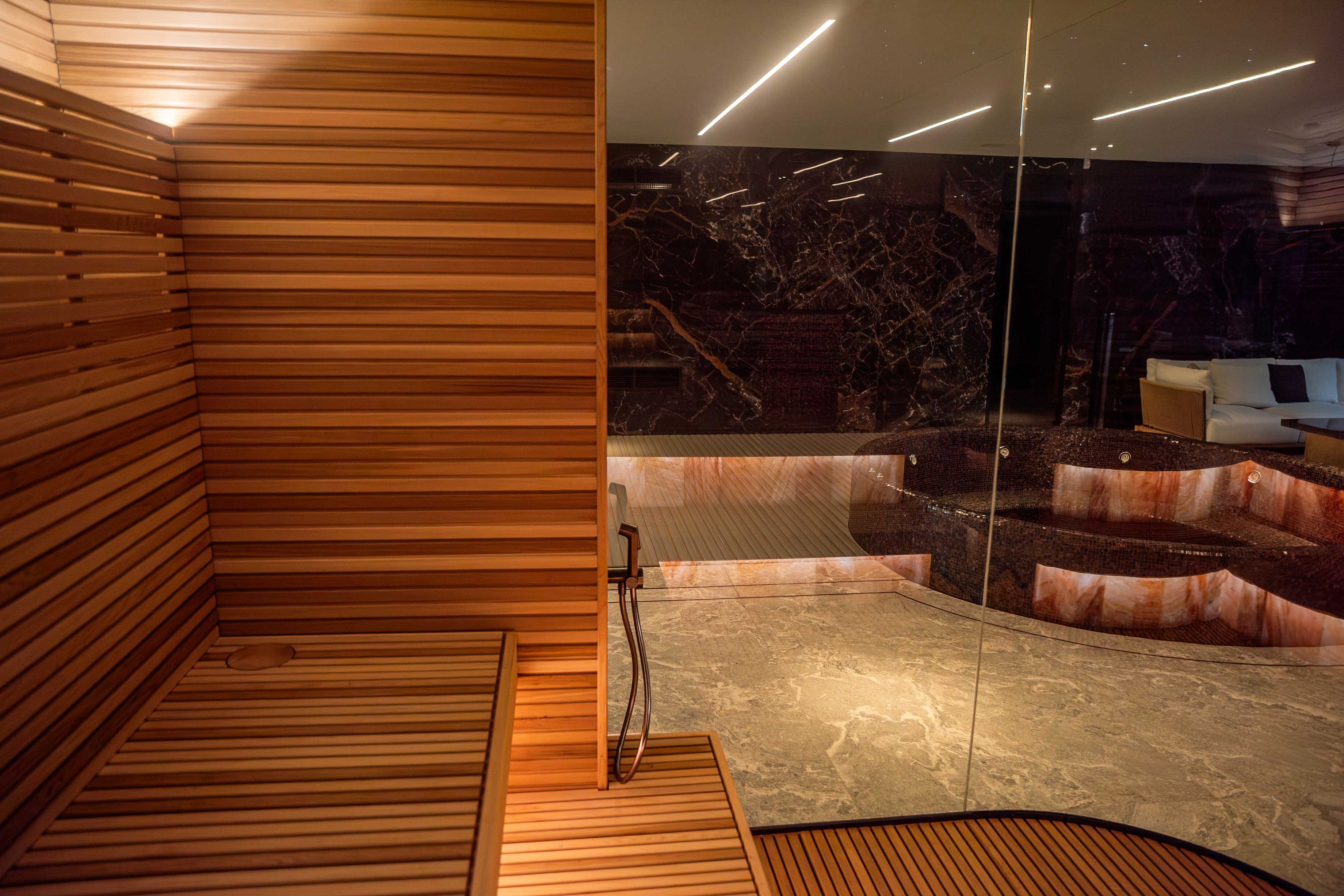 Privates Infrarotsauna- und Schwimmbadprojekt
