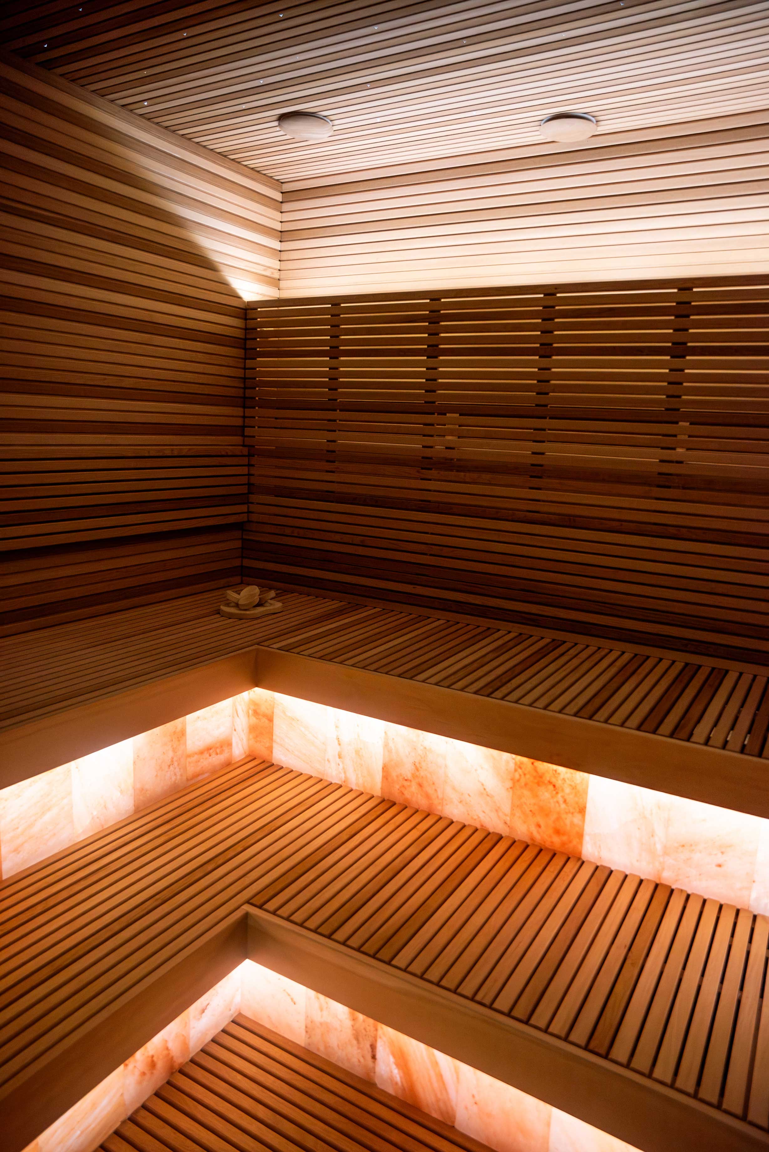 Privates Infrarotsauna- und Schwimmbadprojekt